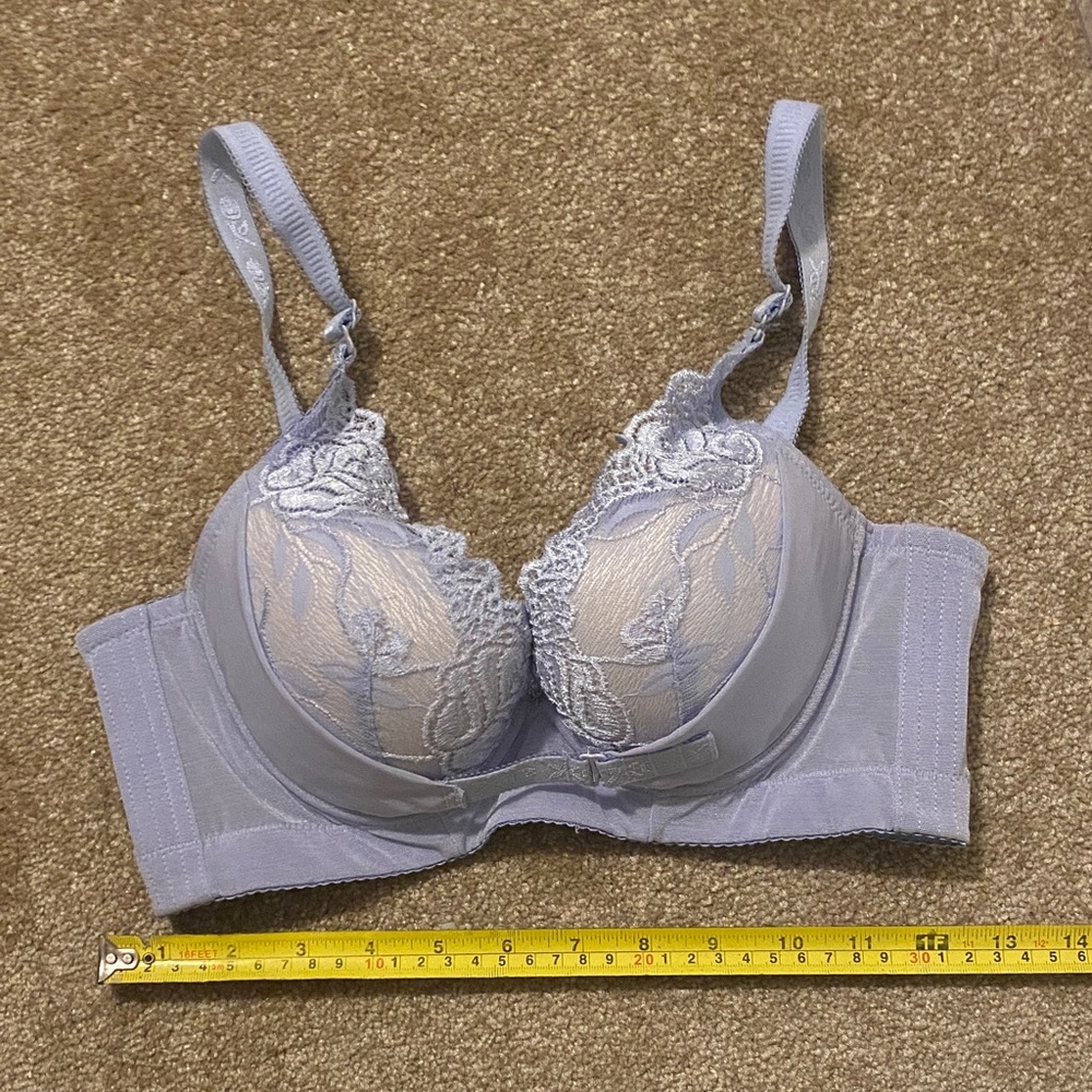 NWOT Light Blue Elegant Lace Corset Style Push-up Bra